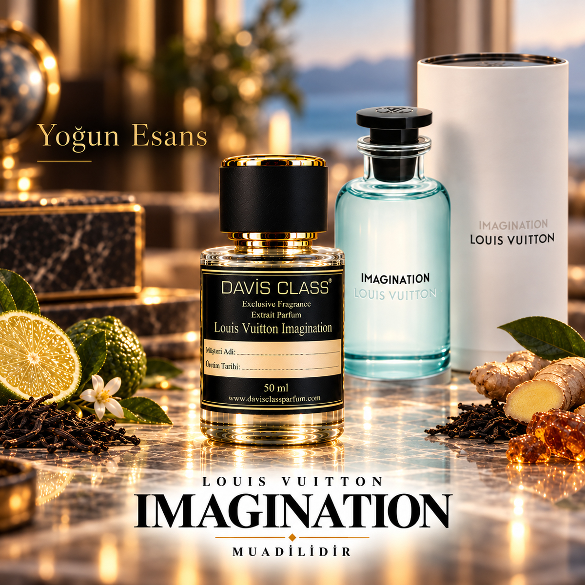 Imagination