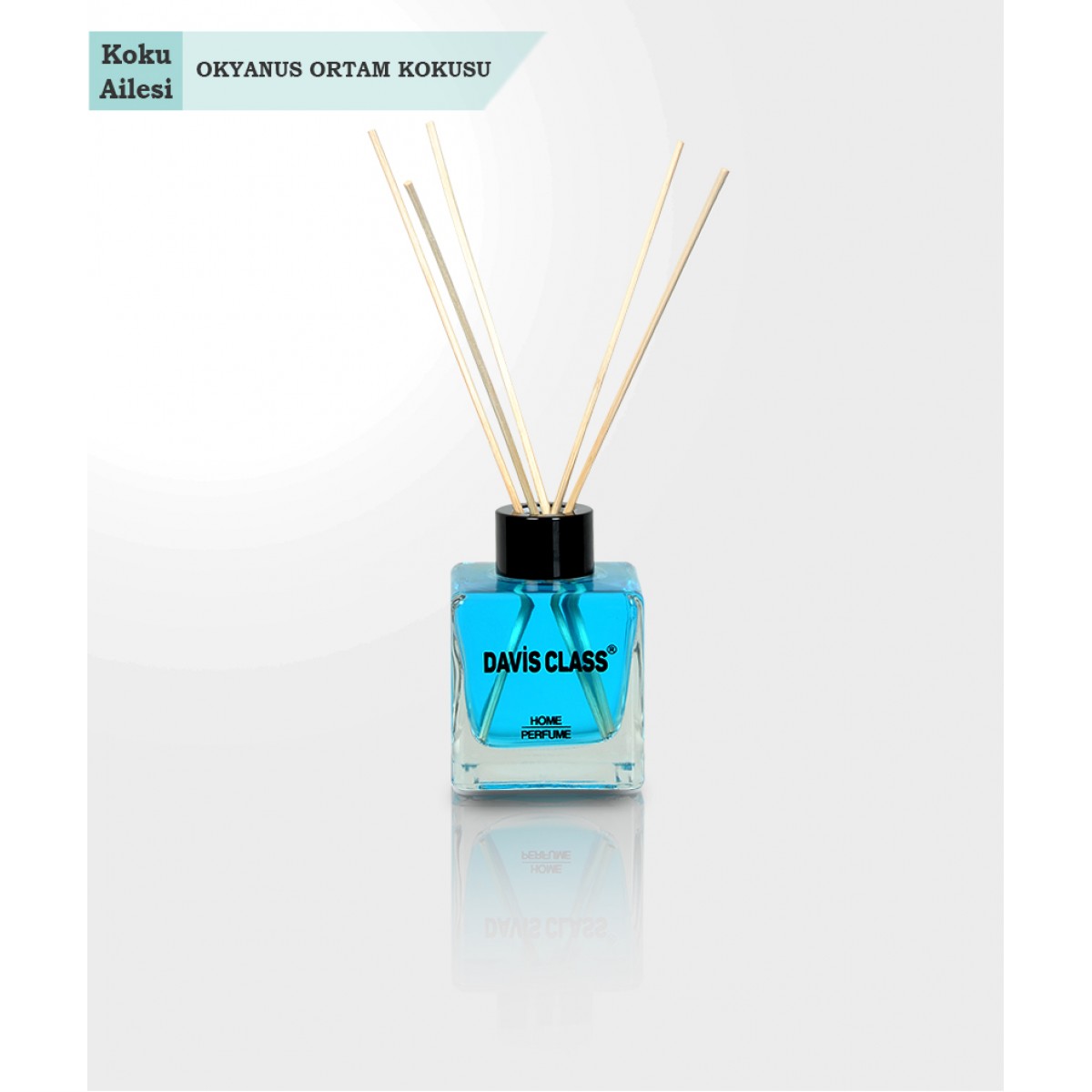 Okyanus Ortam Kokusu